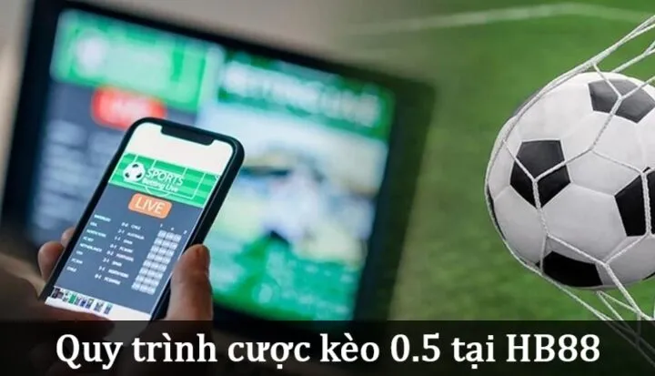 Quy trình cá cược theo Kèo 0.5 